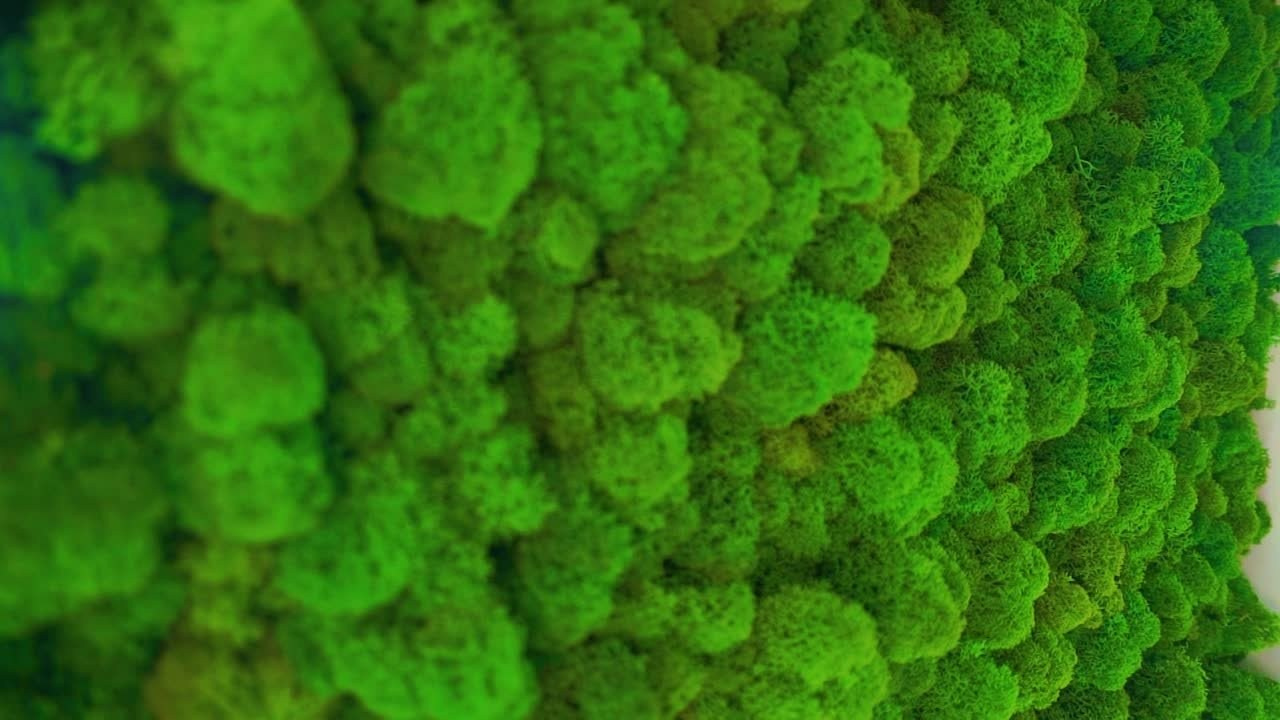 Кофейня факультет — фото и видео. Шедевры для Вас! Фотограф и Видеограф в Краснодаре Пахиев Руслан