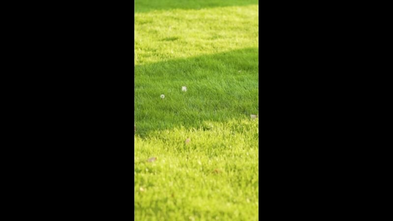 Фото и видео съемка Лав стори (Love story), романтическая фотосессия. Шедевры для Вас! Фотограф и Видеограф в Краснодаре Пахиев Руслан