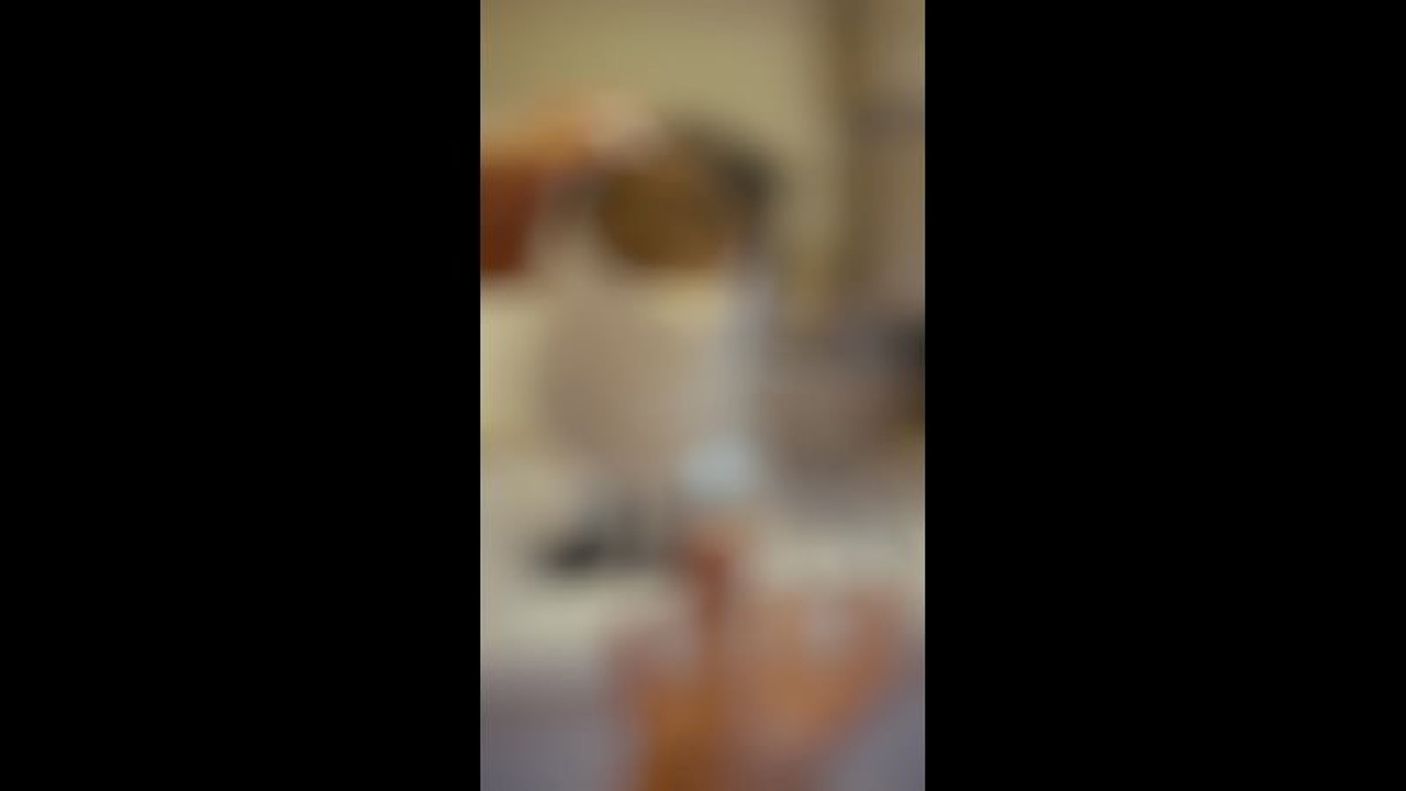 Love and Coffee — Кофейня — фудфото и видео. Шедевры для Вас! Фотограф и Видеограф в Краснодаре Пахиев Руслан