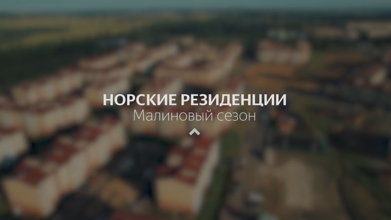 Видео с ведущим. Фото и видеосъёмка в Ярославле | Грибов Медиа контент студия  — от 2500 ₽/час