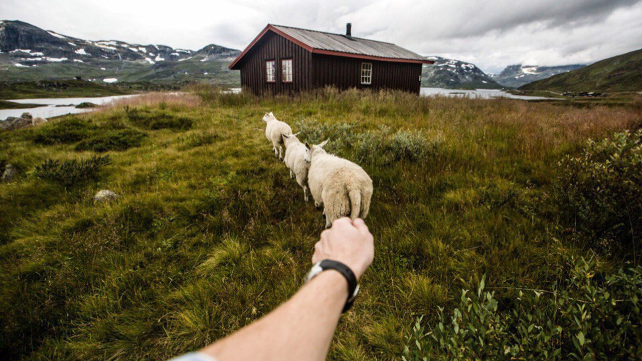 Путешествия