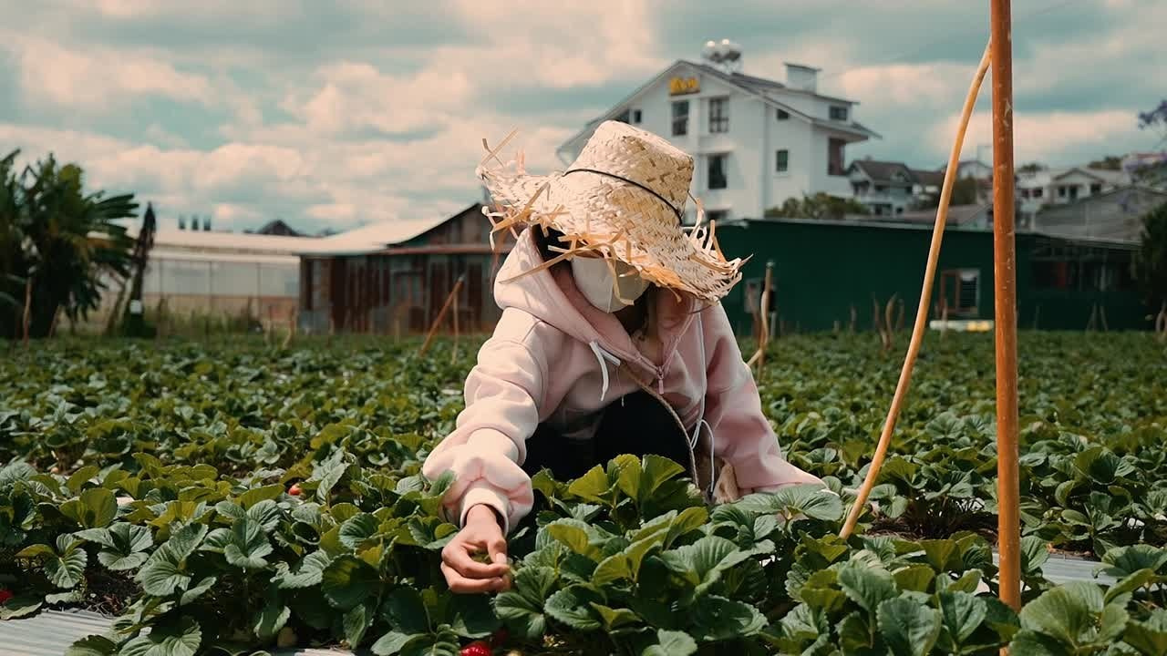 Travel видеосъёмка | Ernest & Lisa Kim Production. Ernest&Lisa Kim