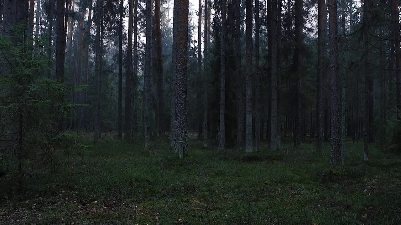 FILM. «MAK ФЛЕЙМ»