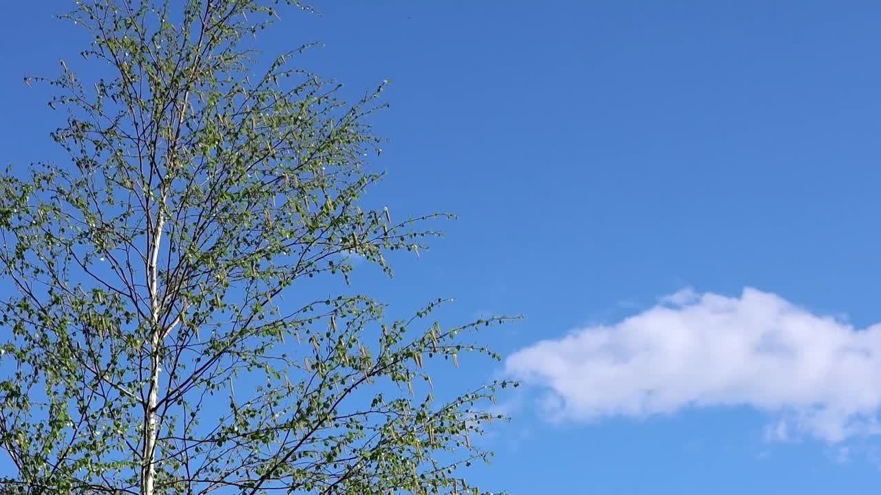 Красивая пара. Фотограф Якутск Зоя Николаева