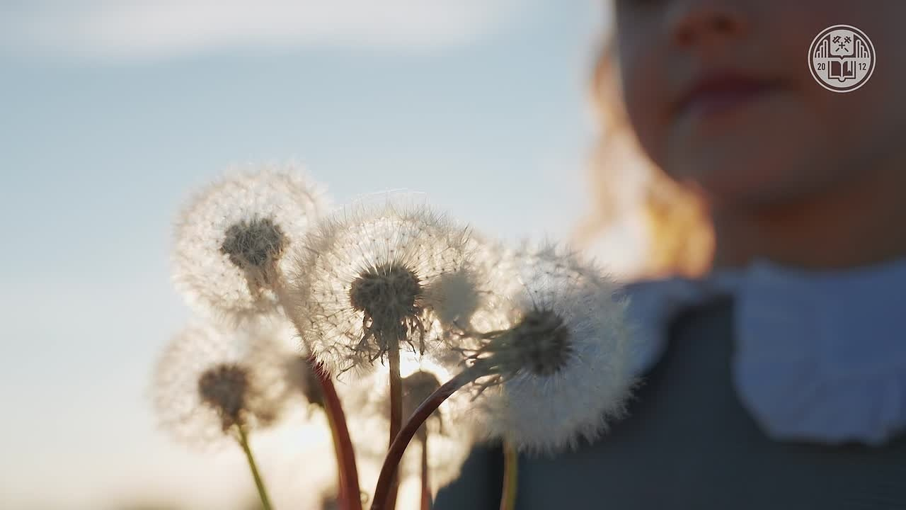 Бизнес. Наиль Садардинов | Видеограф