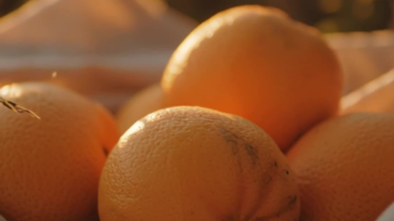 Видео. Krasnopoliophoto