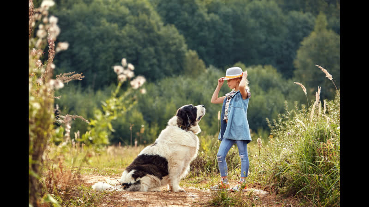 Видео о детской съемке по мотивам статьи из фотожурнала. Детский и семейный фотограф в Нижнем Новгороде Мячикова Наталья