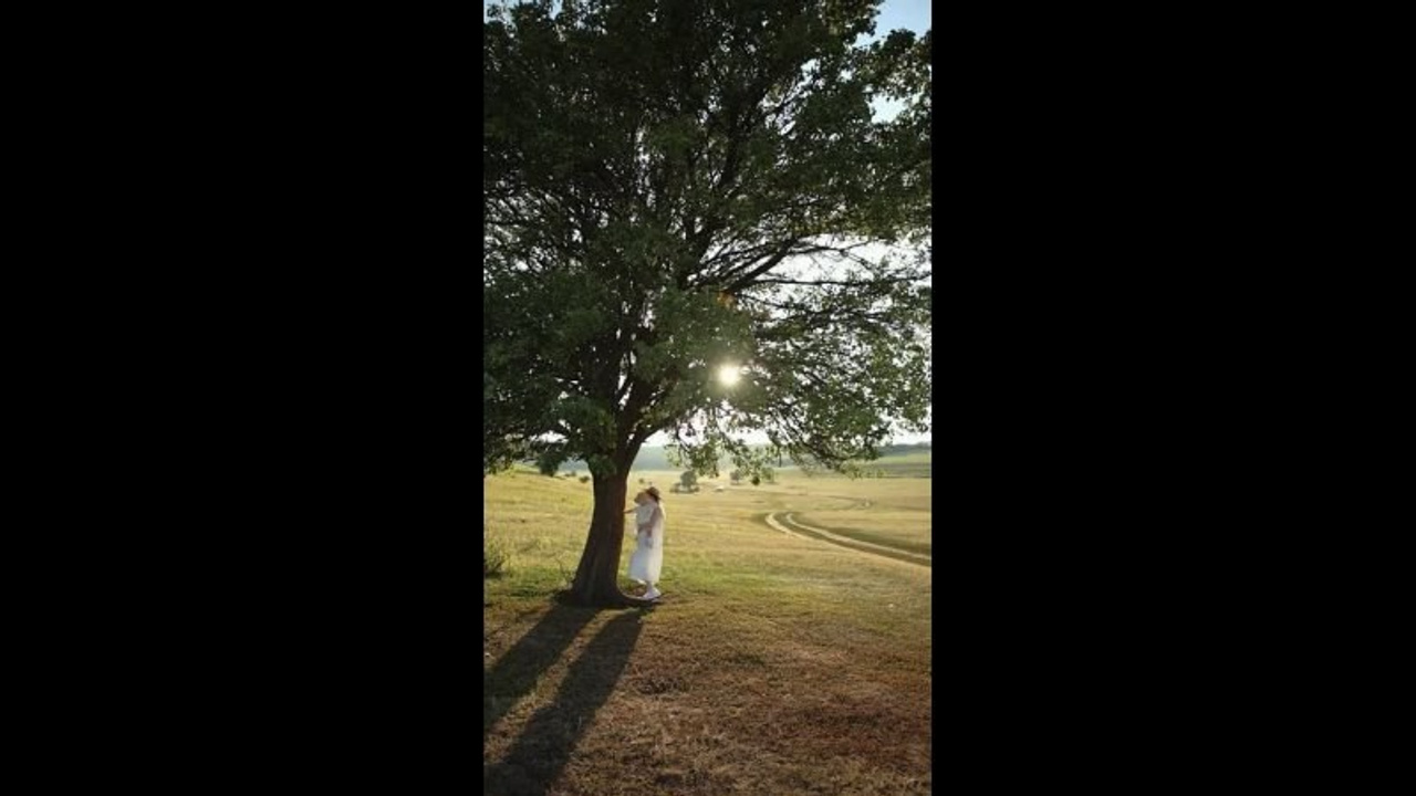 Семейные истории. Главная