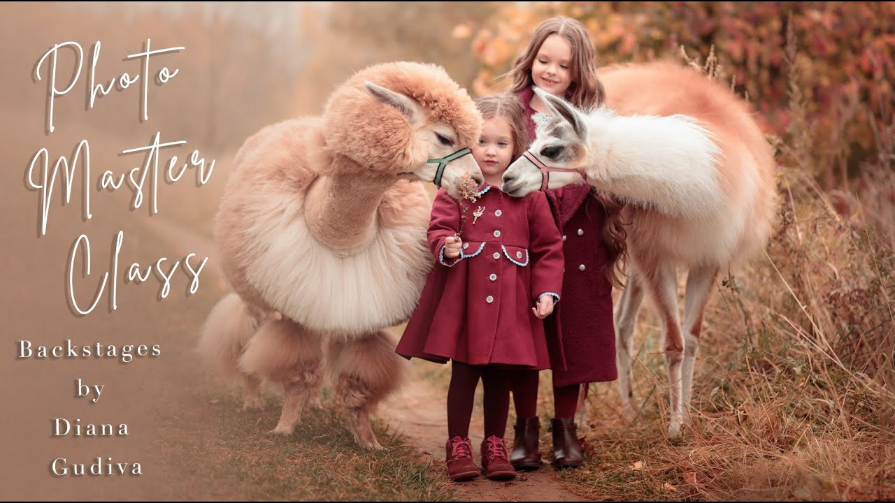 Видео. Свадебные видео