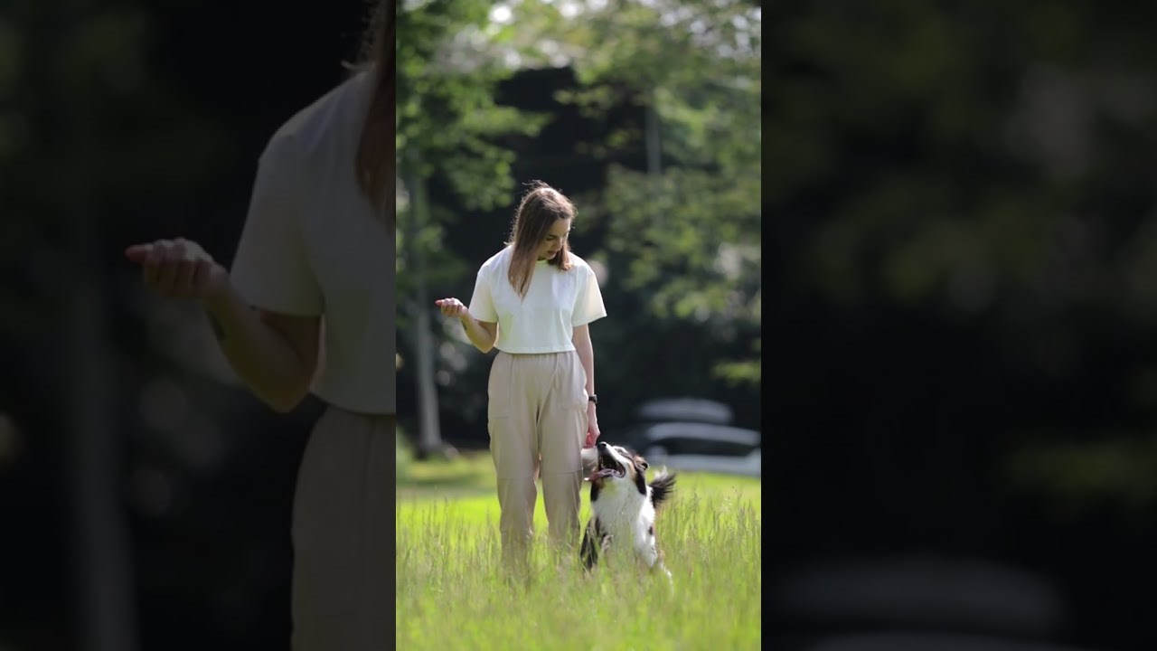 Video. Ирина Голомб|Фотограф-анималист в  Сочи и Калининграде