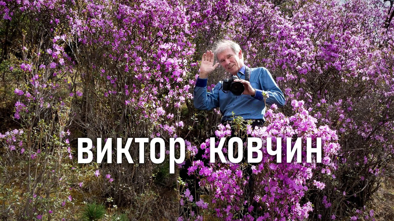 Мои видеоролики. Фотограф для хороших людей в Юрге, Томске, Кемерово, Республике Алтай