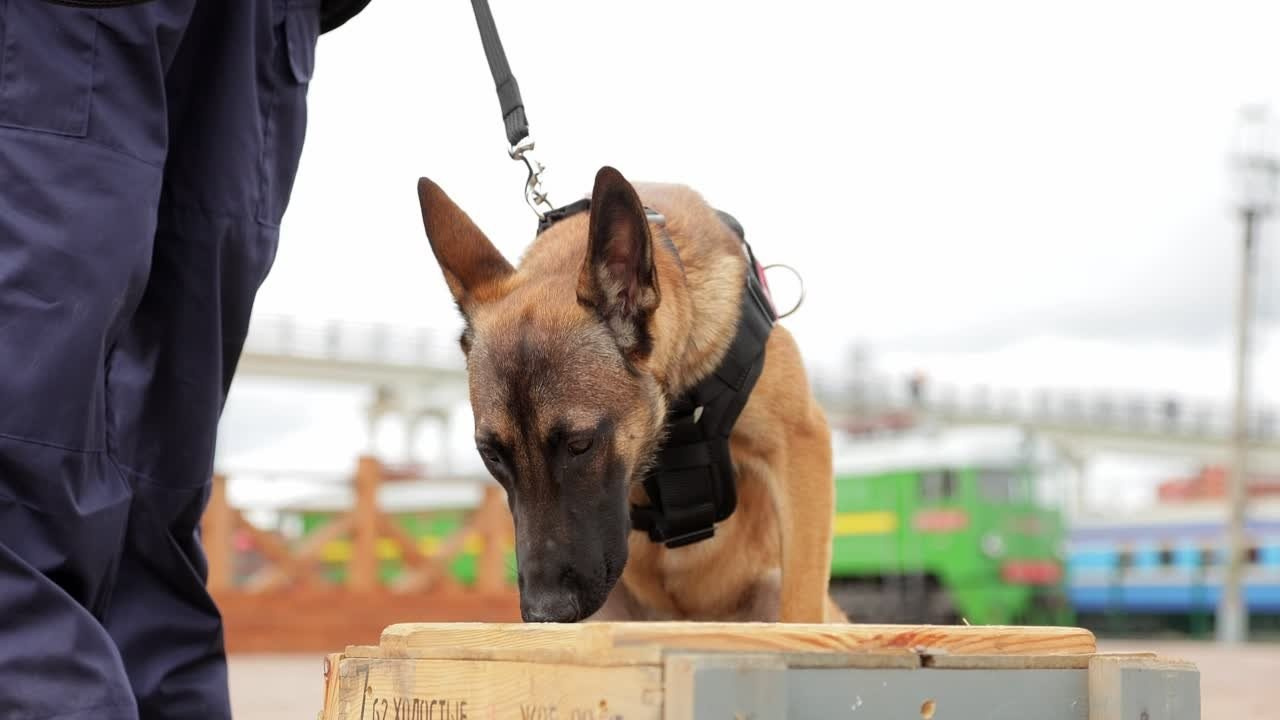 Коммерческое видео. Видеосъемка Екатеринбург , Видеооператор в Екатеринбурге PW видео
