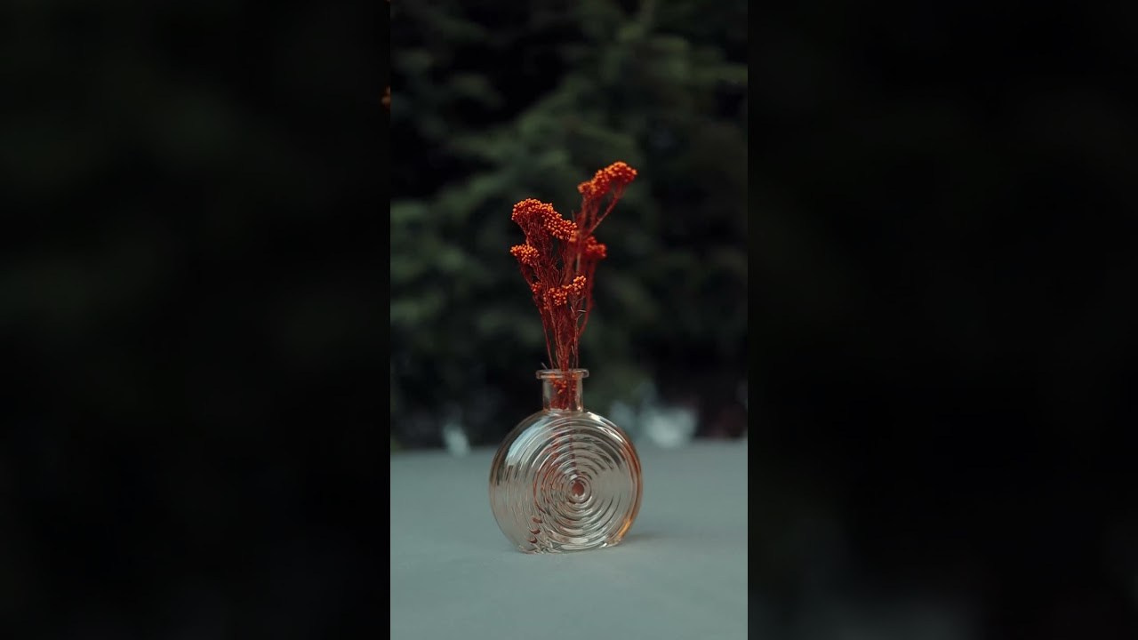 Reelsmaker рилс видеограф видеографалматы мобилографалматы мобилограф