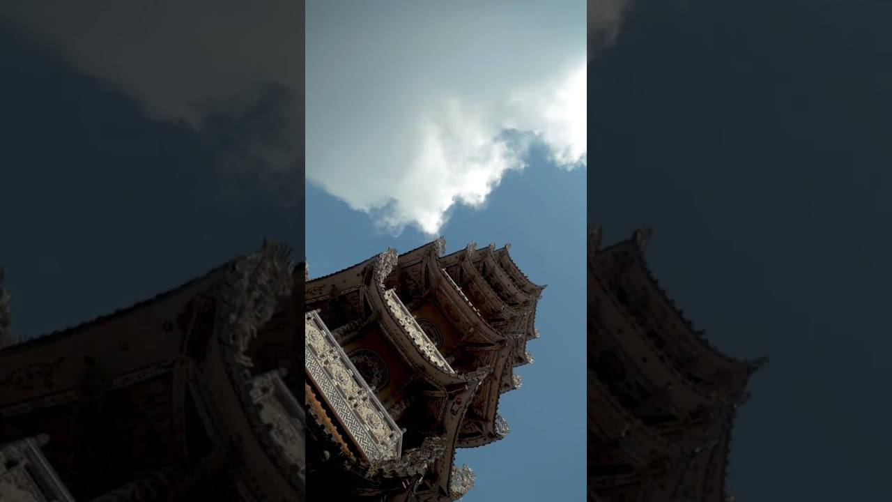 Reelsmaker рилс видеограф видеографалматы мобилографалматы мобилограф