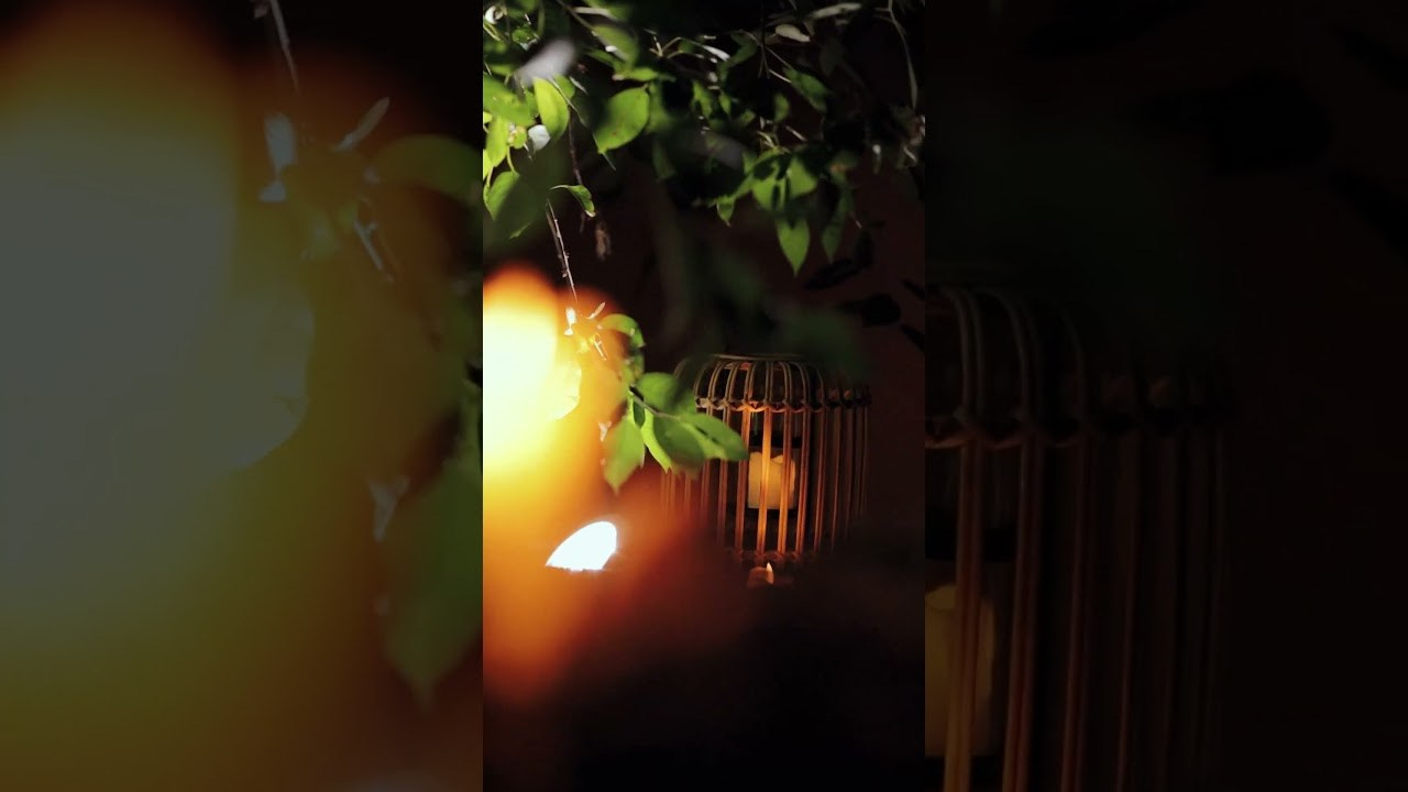 Reelsmaker рилс видеограф видеографалматы мобилографалматы мобилограф