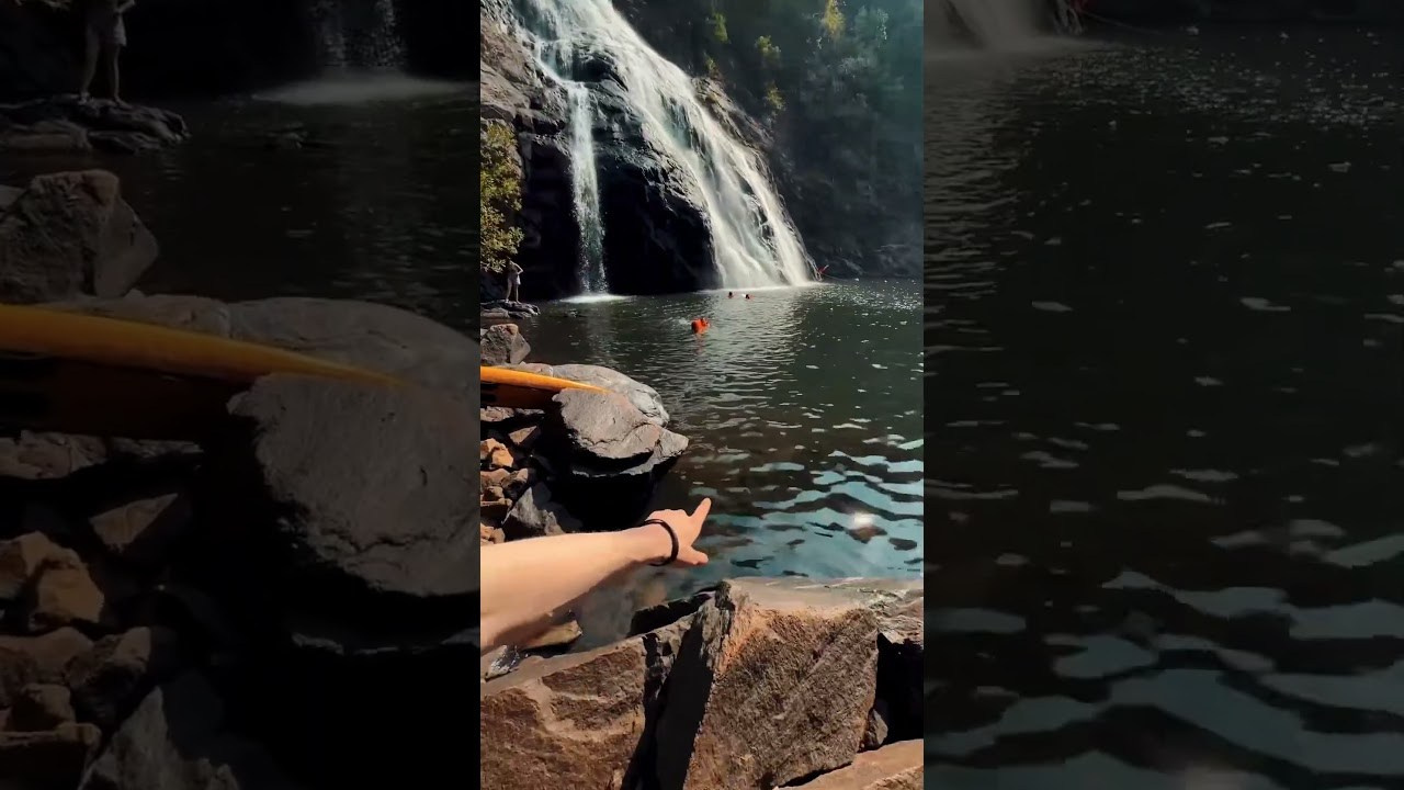 Reelsmaker рилс видеограф видеографалматы мобилографалматы мобилограф