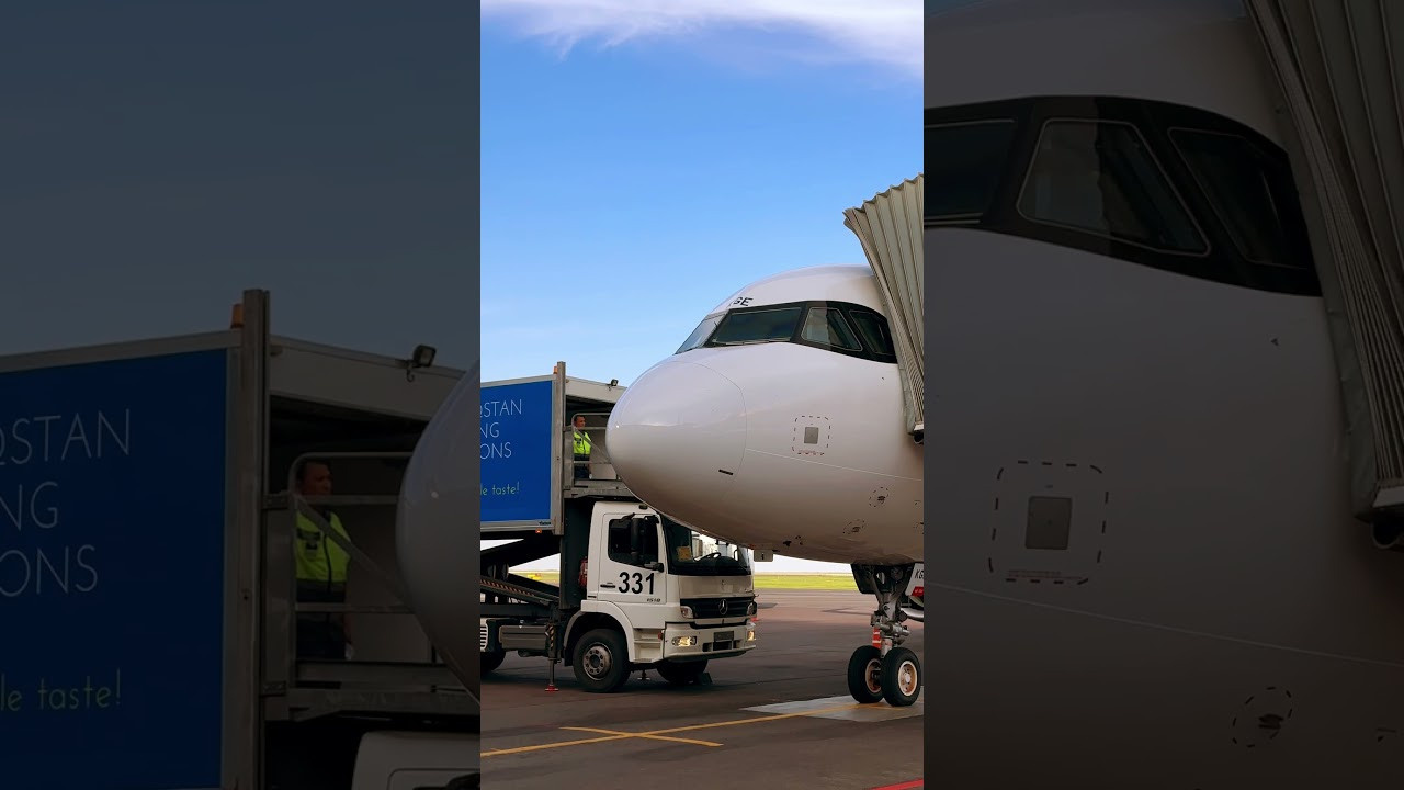 Reelsmaker рилс видеограф видеографалматы мобилографалматы мобилограф