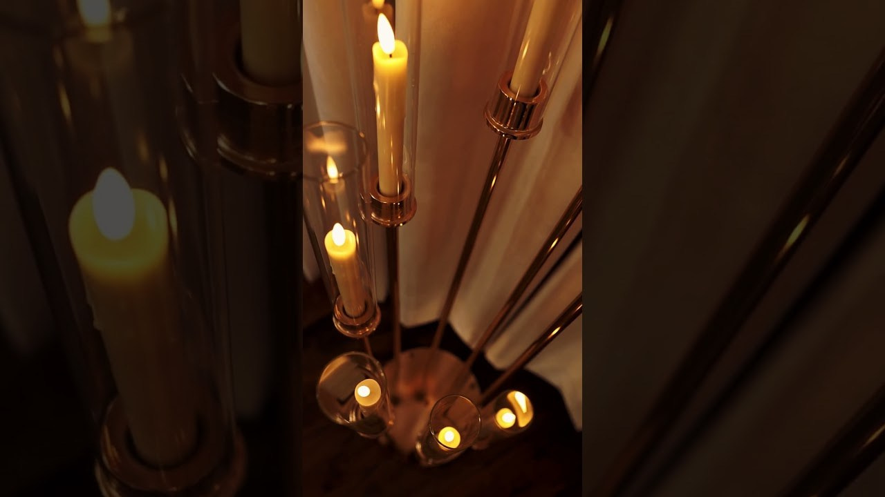 Reelsmaker рилс видеограф видеографалматы мобилографалматы мобилограф