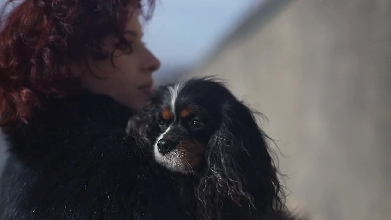 Видео. Фотограф в Новосибирске