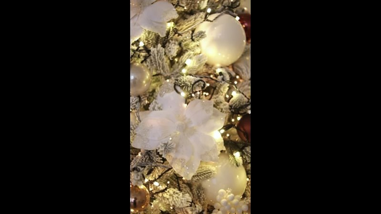 Видео. Фотограф в Новосибирске