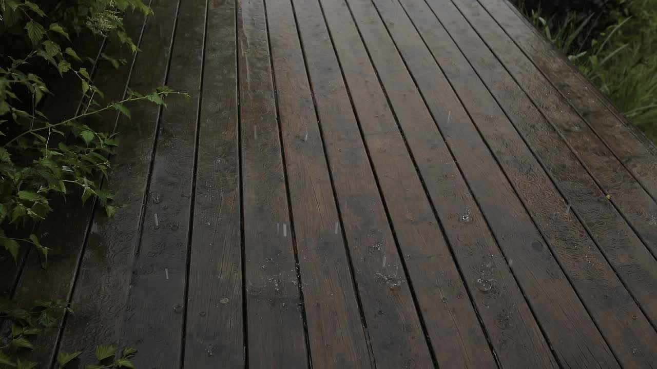 New. Свадебный фотограф Колесников Антон