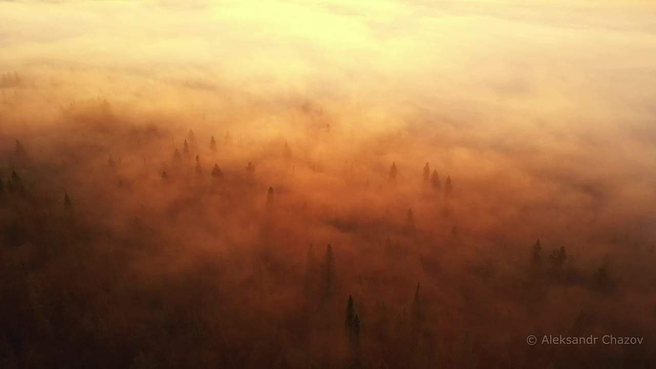 Видео. Фотограф Александр Чазов