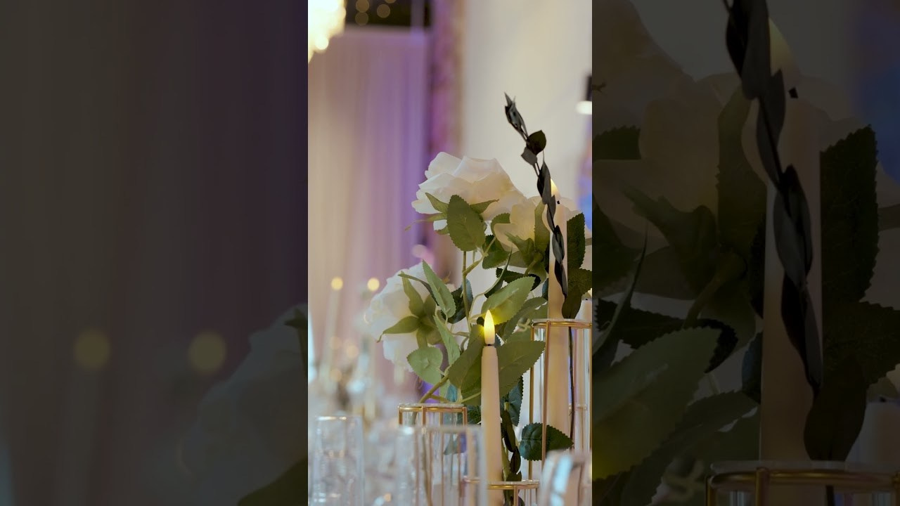 Вертикальные. Видеограф Санкт-Петербург, Москва, Киров