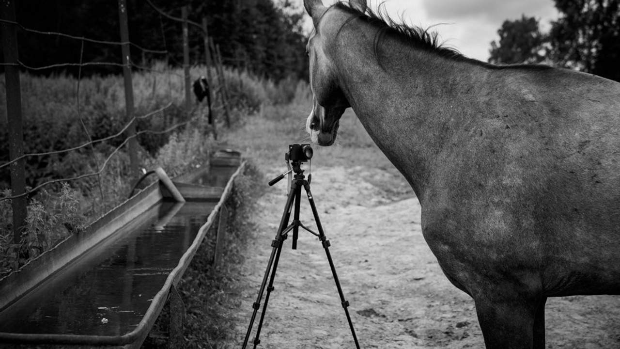 Шаэль. Фотограф Таня Ремизова