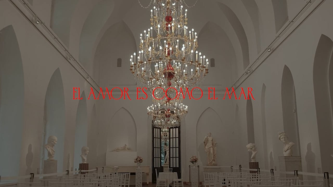 Портфолио. Мануйленко Денис свадебный видеограф