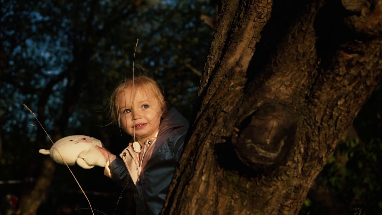 Видеосъемка прогулки в яблоневой саду весной. Видеограф Осинина Татьяна — видеосъемка в Москве