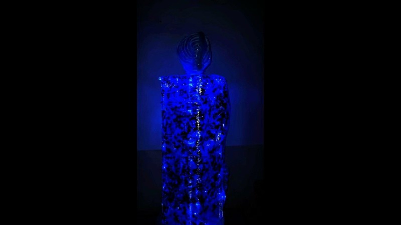 Призраки. Междисциплинарный художник Екатерина Старовойтова