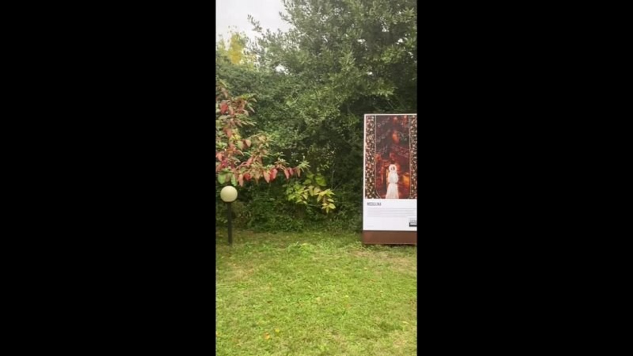 SIENA CREATIVE PHOTO AWARDS. Междисциплинарный художник Екатерина Старовойтова