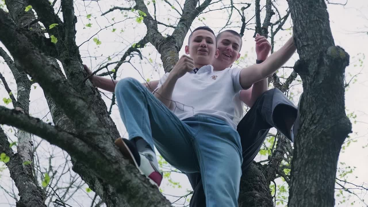 Выпускные видео. Видеомейкер (контент под ключ) Максим Николаенко