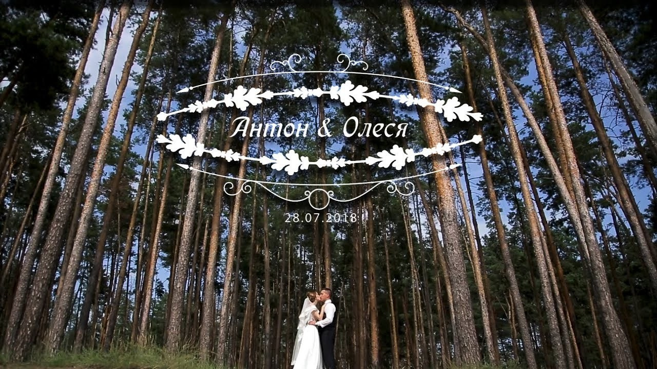 Свадебное видео, качественно и доступно. Белгород
