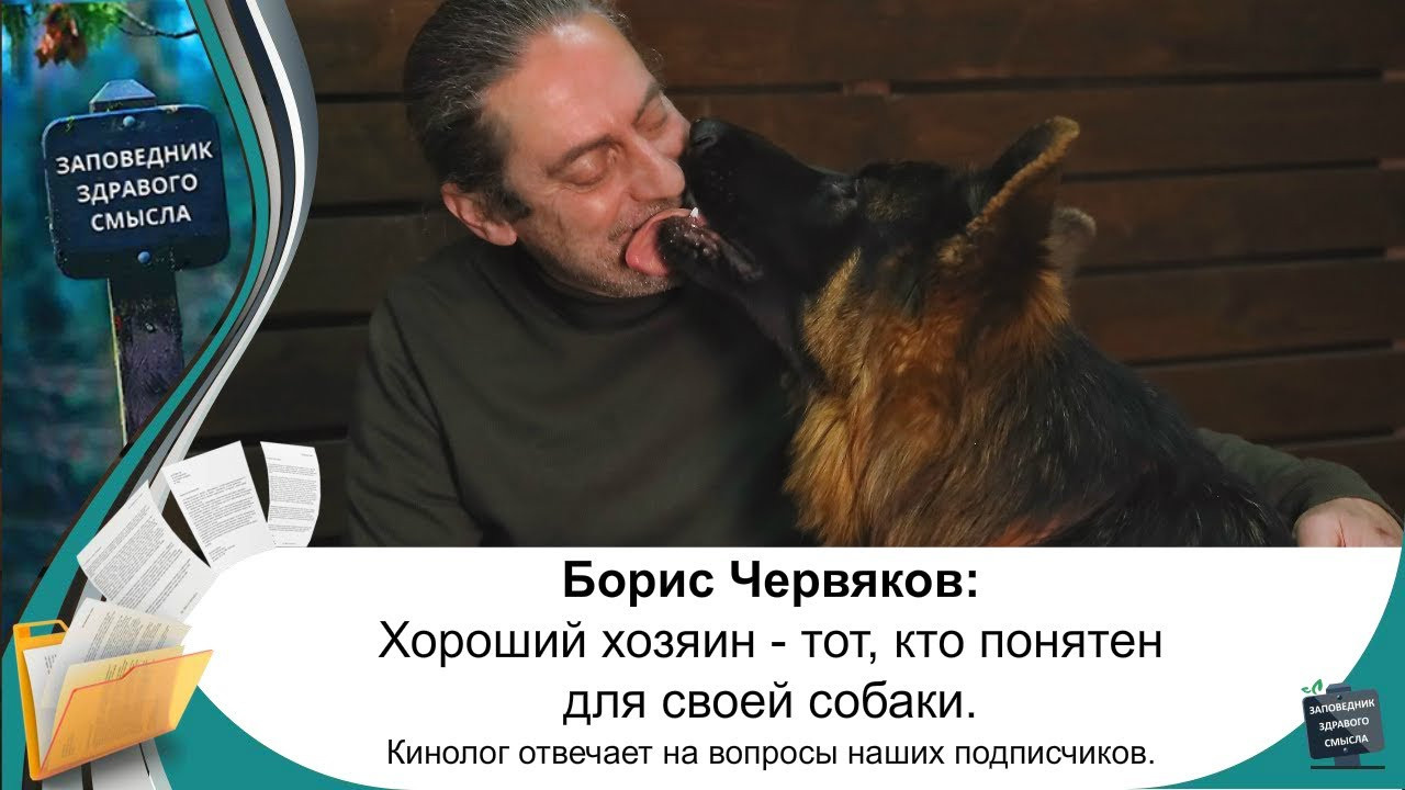 Видео. Рекламный и предметный фотограф в Санкт-Петербурге Мария Ерикина