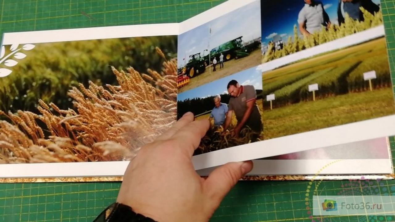 Корпоративные проекты. Фотограф Воронеж, фотосъемка свадеб, детских садов, фотоальбомы