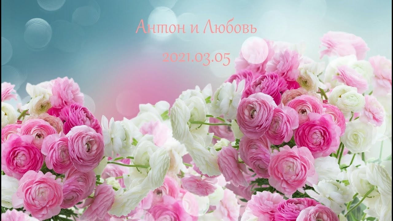 Видео. Photomantis