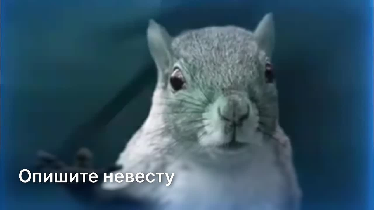 Юмористическое интервью. Видеосъёмка свадеб и мероприятий в Самаре — GLOW UP