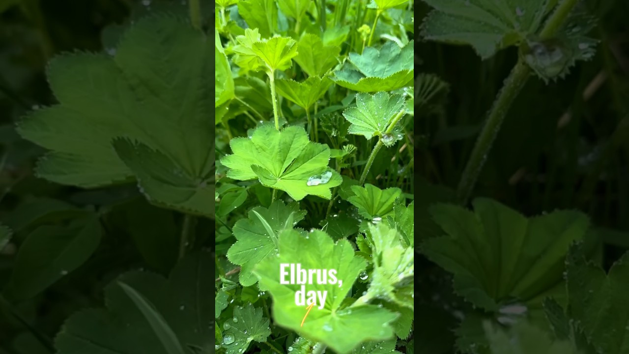 Эльбрус — первый акклиматизационный выход