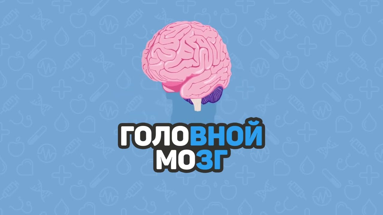 Как устроен головной мозг