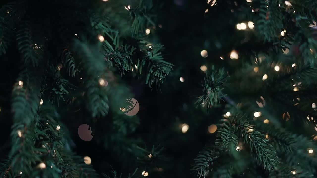 ВИДЕОСЪЕМКА. Свадебный и семейный фотограф/видеограф в Краснодаре Наталья Осинская