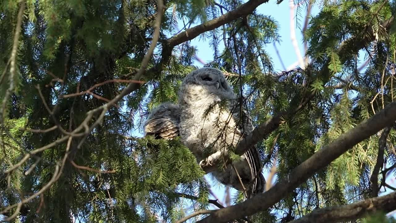 Видеосъемка живой природы. Интерьерный и архитектурный фотограф в Москве Панова Ольга