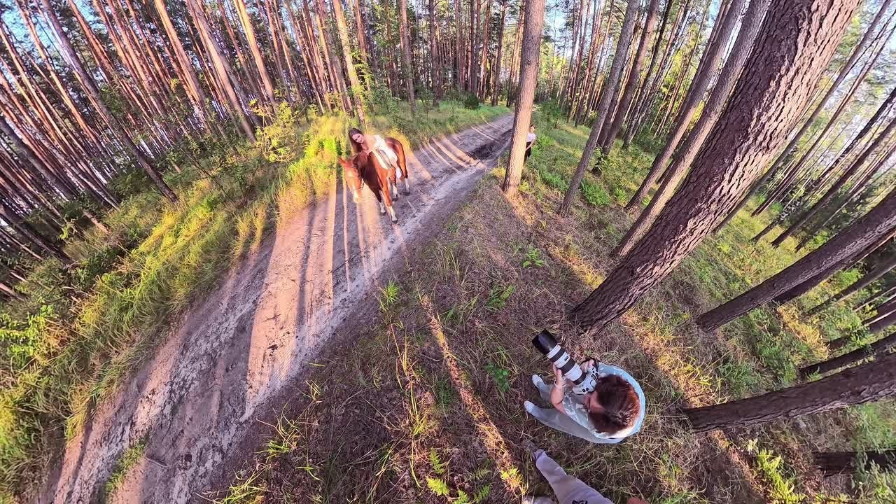 Лошадка. Фотограф Павел Шрайбикус