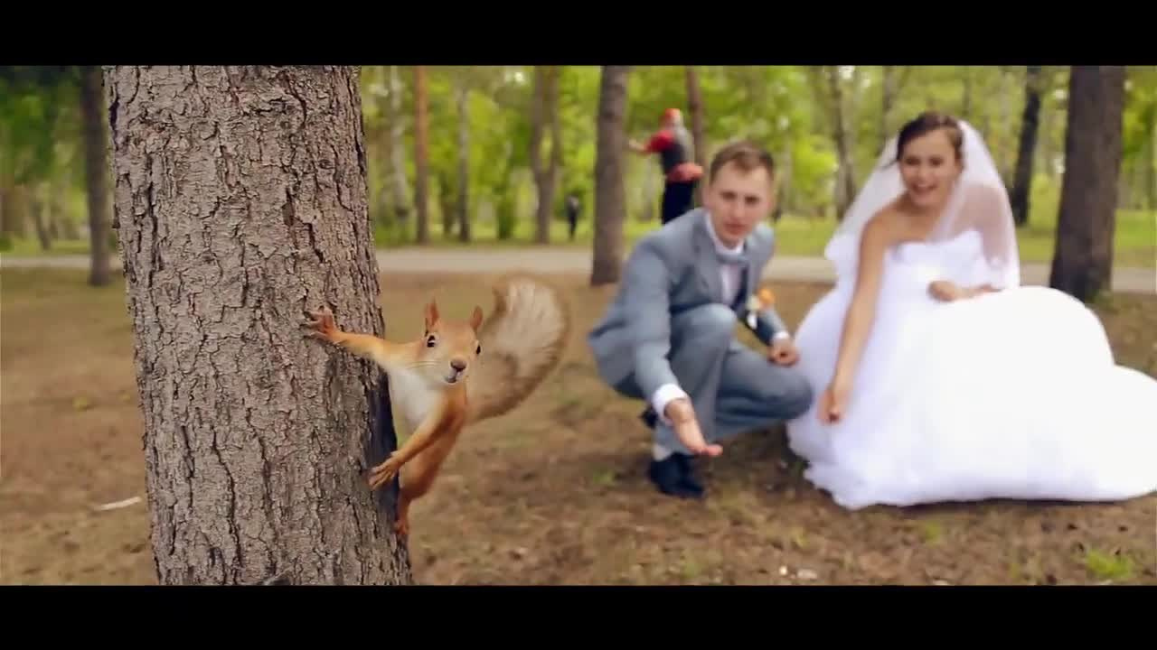 Свадьбы. Профессиональный оператор и видеограф в Москве
