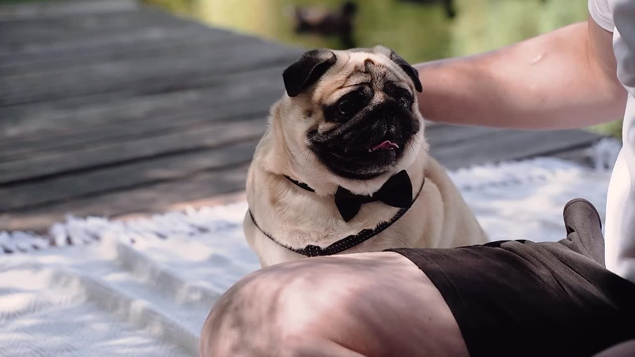 Видео интерактив одним словом на свадьбу, велком, день рождения и любо. Свадебный и семейный видеограф. Ростов-на-Дону