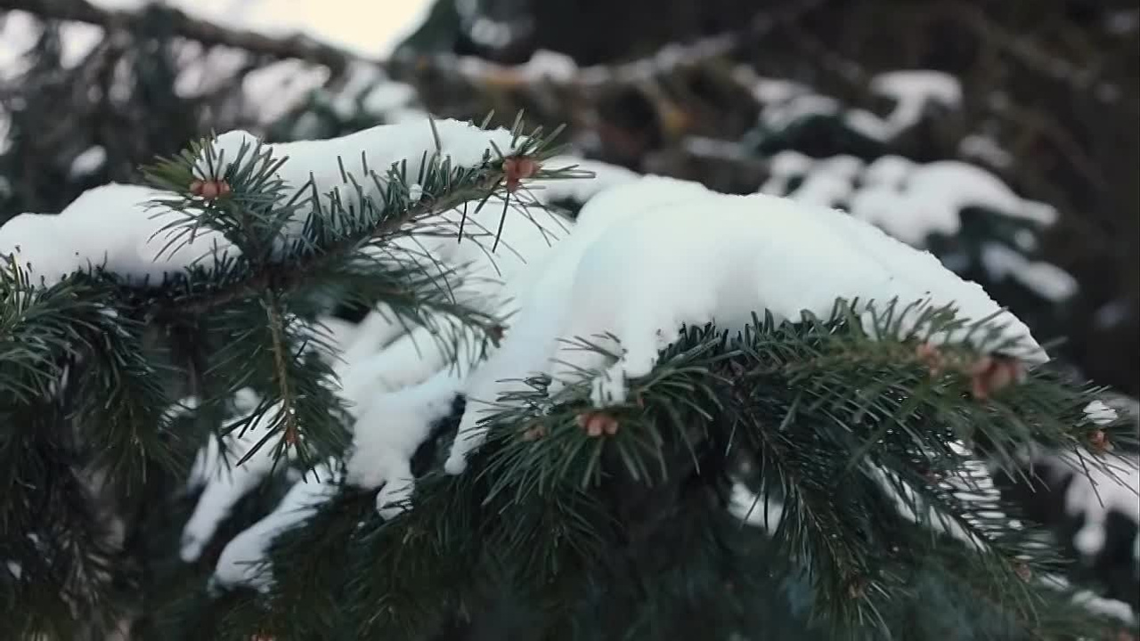 Репортаж. Главная