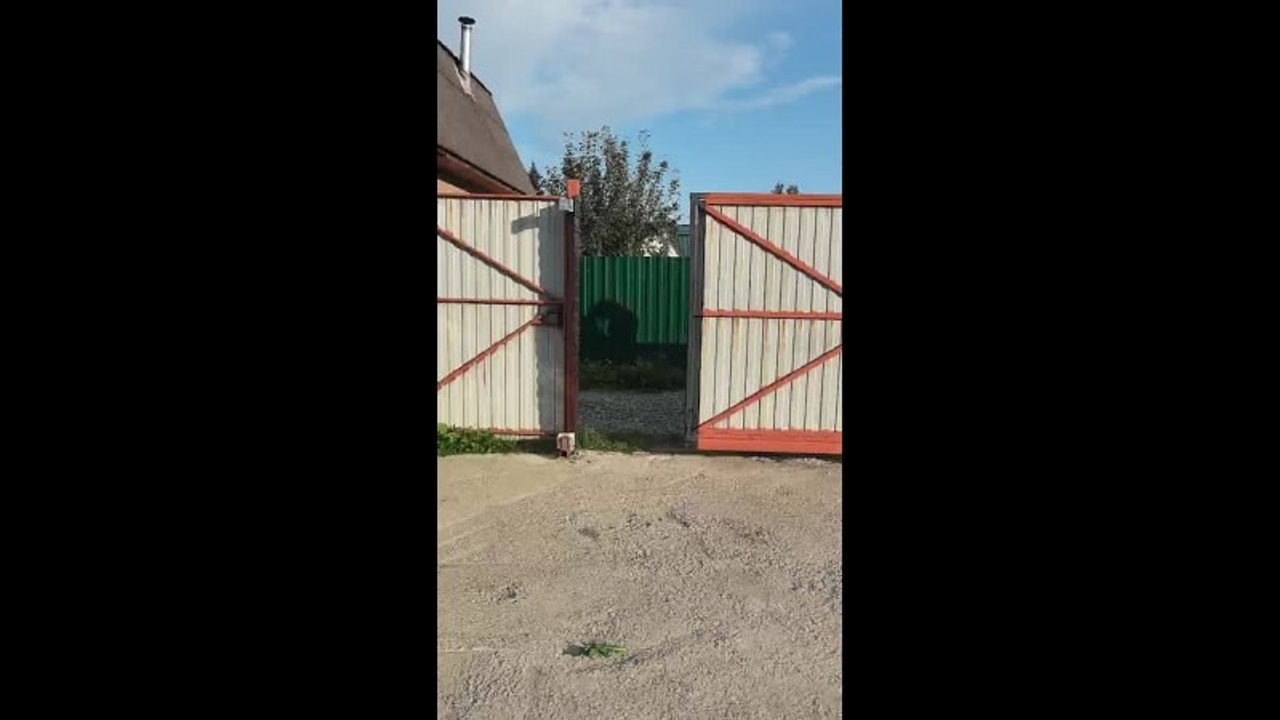 Видеоролики. Ведущая праздничных мероприятий г. Новосибирска