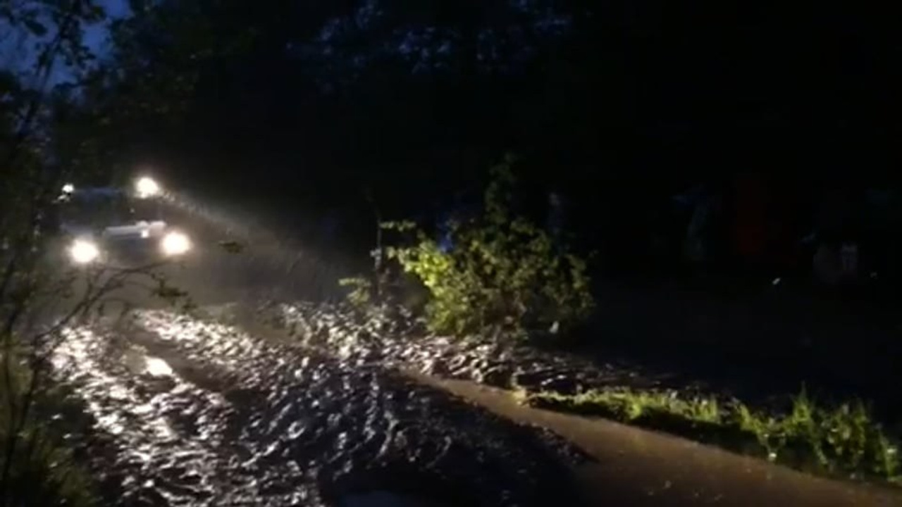 Великорецкий крестный ход. Свадебный и репортажный фотограф в Ярославле и Санкт-Петербурге Роман Микрюков