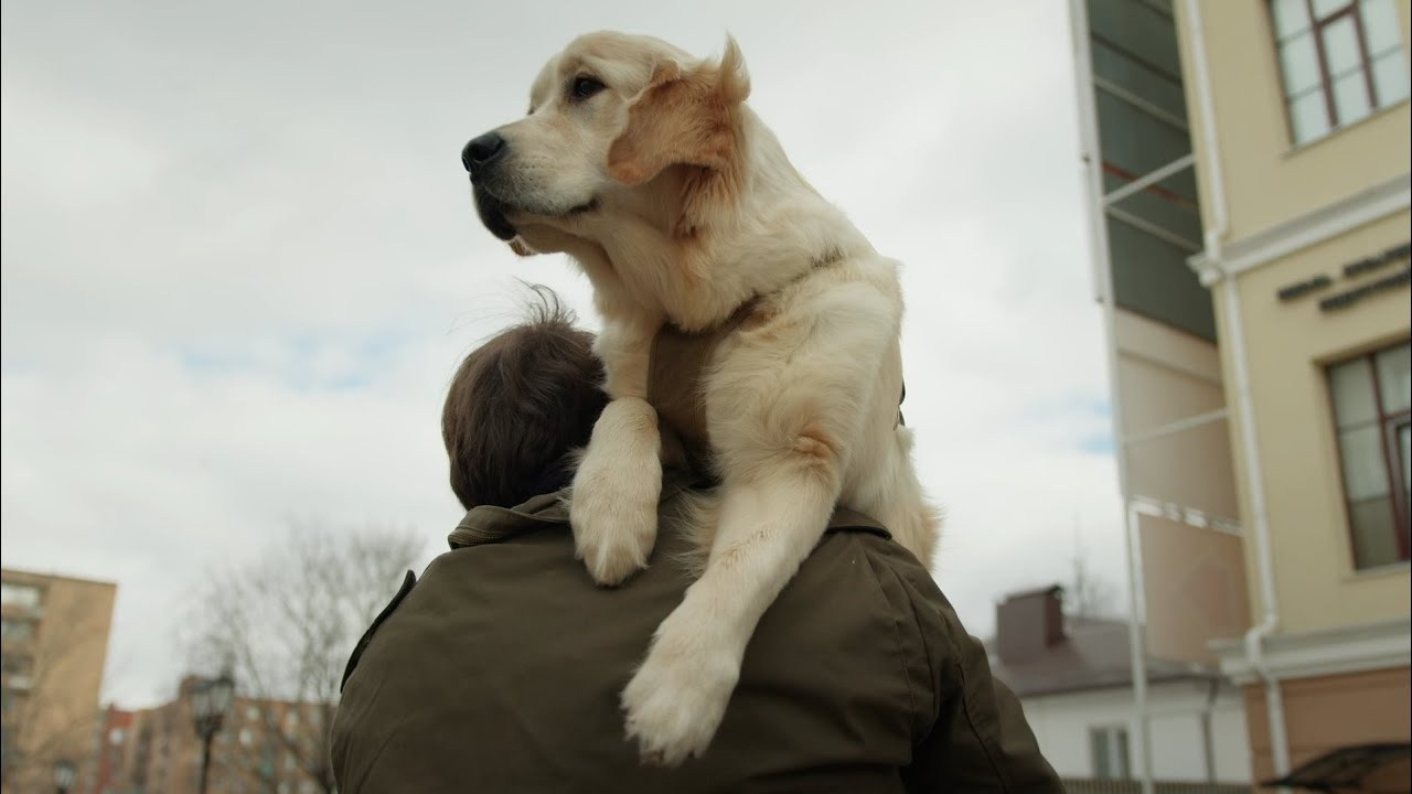 Keks. Репортажный и свадебный фотограф в Курске Борис Захарчук