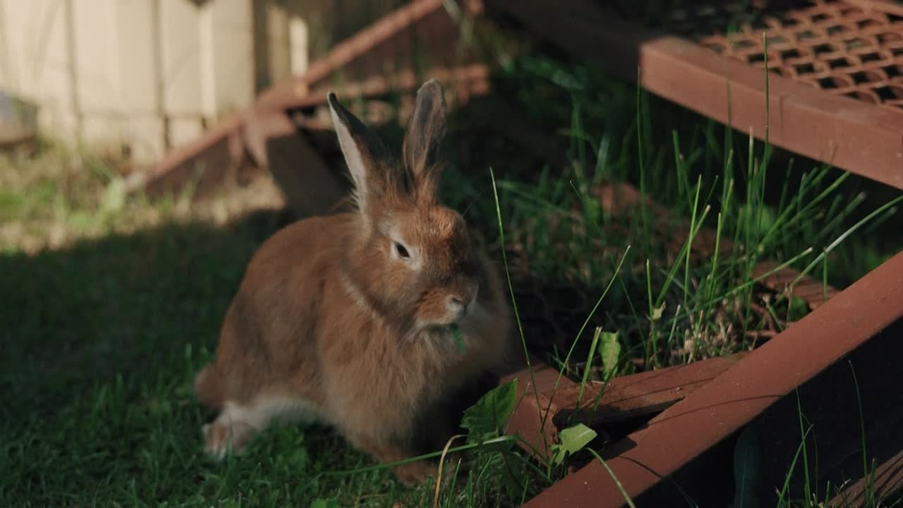 Семейные съемки видео. Ездакова Мария фотограф-видеограф в Екатеринбурге, Первоуральске
